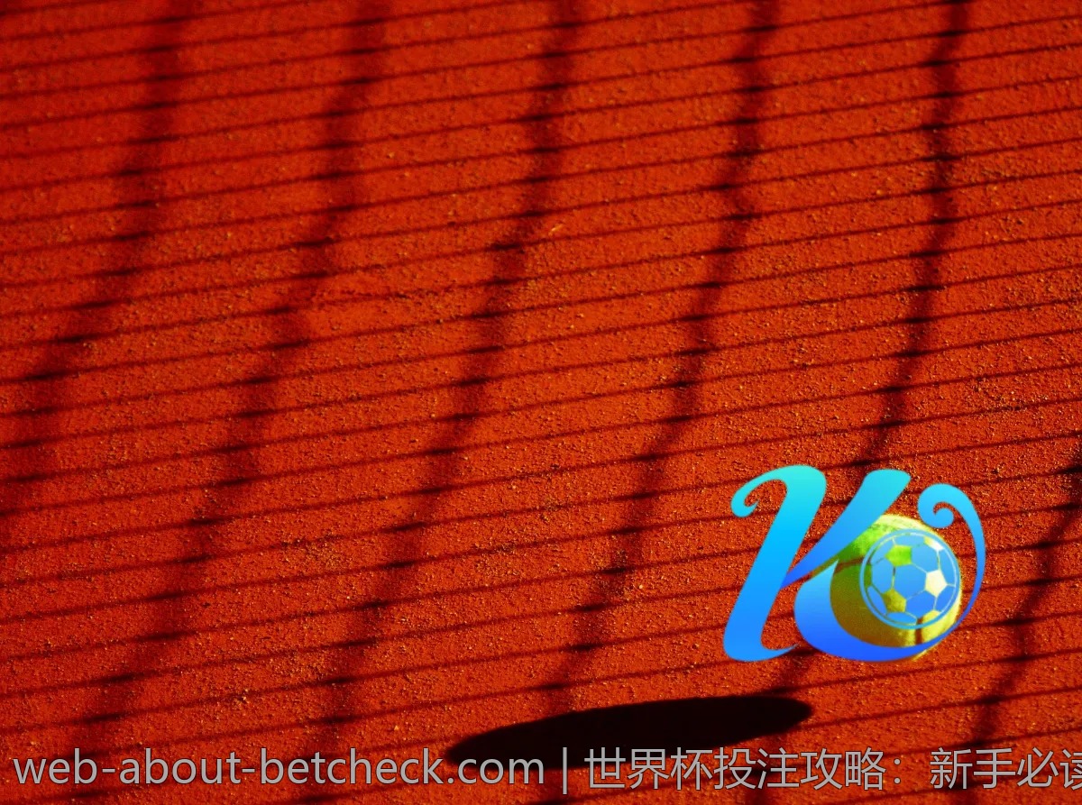 世界杯投注攻略：新手必读的四大常识