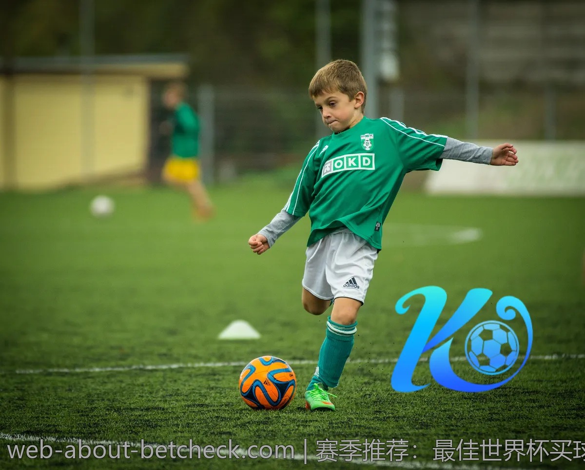 赛季推荐：最佳世界杯买球app大比拼