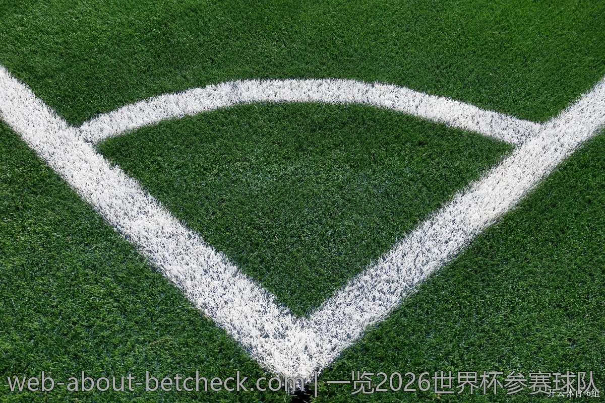 一览2026世界杯参赛球队：你最看好的哪支？