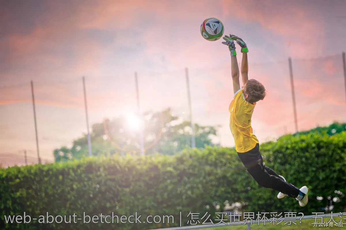 怎么买世界杯彩票？五大注意事项揭秘
