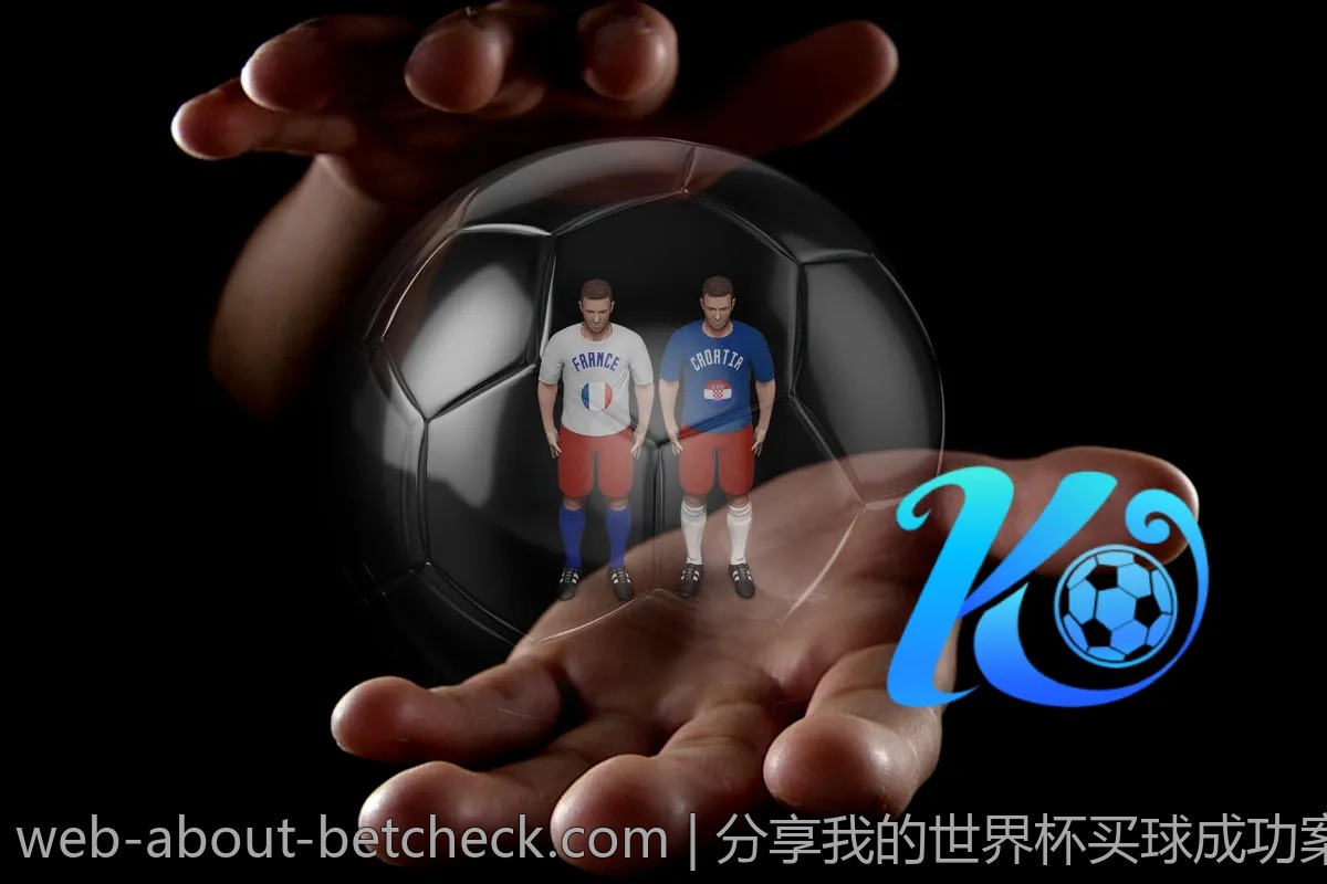 分享我的世界杯买球成功案例，助你赢大钱