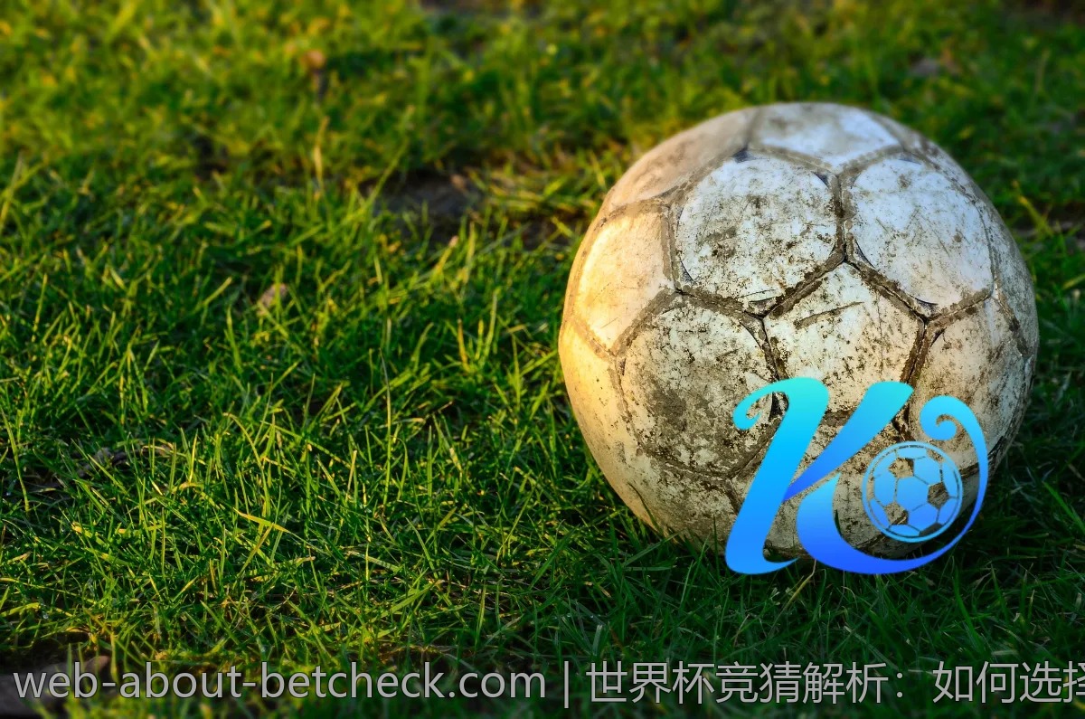 世界杯竞猜解析：如何选择靠谱的平台和参与方式