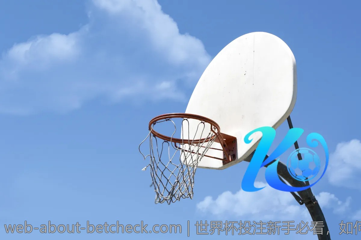 世界杯投注新手必看，如何选择最可靠的平台？