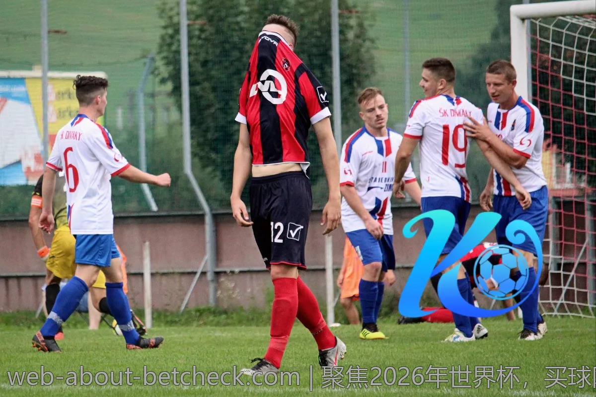聚焦2026年世界杯，买球网站的最新资讯