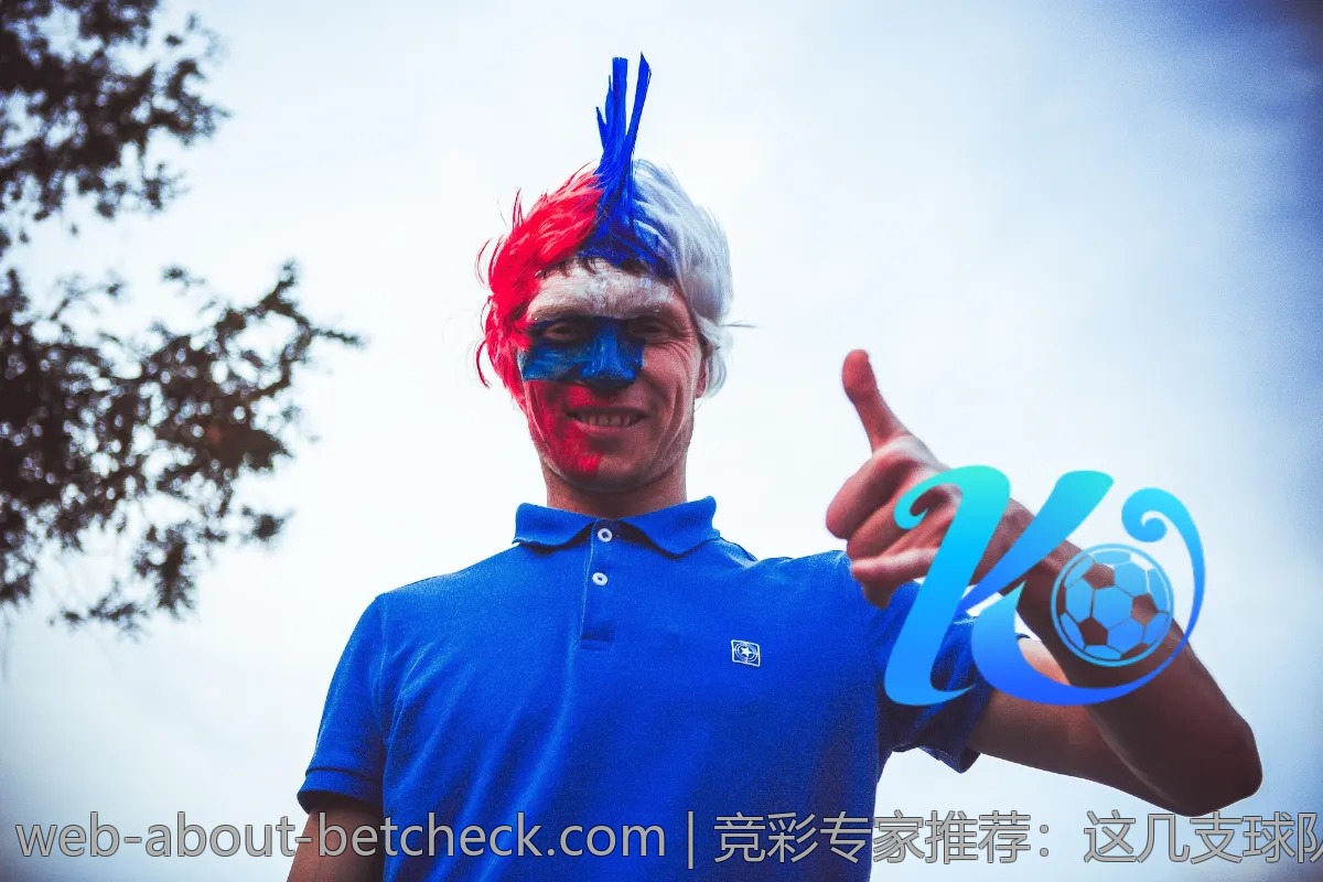 竞彩专家推荐：这几支球队值得投资关注